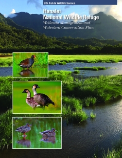Hanalei NWR Wetlands Management and Waterbird Conservation Plan - Finding of No Significant Impact (FONSI)