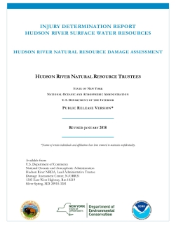Hudson River Surface Water Injury Determination Report