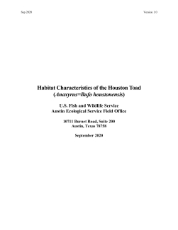 Habitat Characteristics of the Houston Toad (Anaxyrus=Bufo houstonensis)