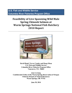 Feasibility of Live Spawning Wild Male Spring Chinook Salmon at Warm Springs National Fish Hatchery 2010 Report