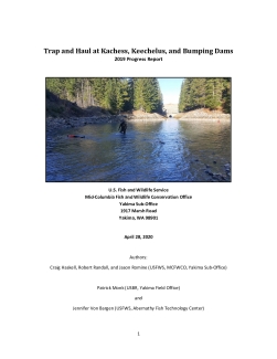 Trap and Haul at Kachess, Keechelus, and Bumping Dams: 2019 Progress Report