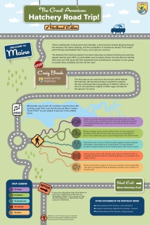 The Great American Hatchery Road Trip - Craig Brook Infographic