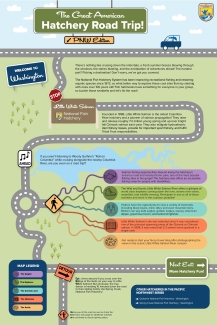 The Great American Hatchery Road Trip - Little White Salmon Infographic