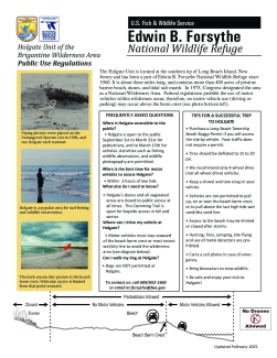 Edwin B. Forsythe National Wildlife Refuge: Holgate Brochure