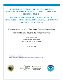 Determination of Injury to Natural Resources from Remedial Activities on the Hudson River: Riverine Fringing Wetlands, Aquatic Vegetation Beds, Shoreline Trees, and Native Freshwater Mussels