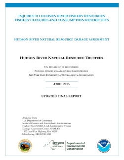 Hudson River Fisheries Consumption Injury Determination Report 2015.pdf