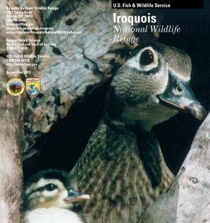 general-brochure-iroquois-nwr.pdf