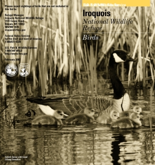 birds-brochure-iroquois-nwr.pdf