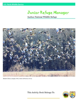 Junior Ranger Booklet for Reelfoot NWR