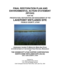 Utah-Kennecott-Copper-Lakepoint-Wetland-NRDA-Restoration-Plan.pdf