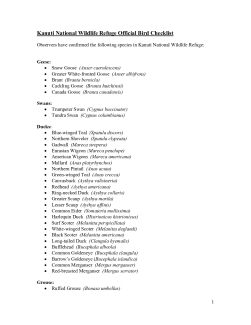 Kanuti National Wildlife Refuge Official Bird Checklist (January 10, 2023)