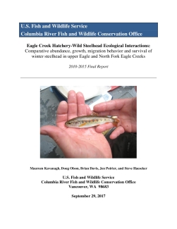 Eagle Creek Hatchery-Wild Steelhead Ecological Interactions: Comparative abundance, growth, migration behavior and survival of winter steelhead in upper Eagle and North Fork Eagle Creeks