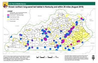 Map of the northern long-eared bat in Kentucky