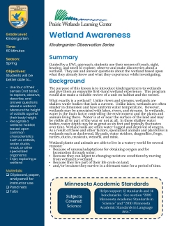 Kindergarten Spring Wetland Awareness