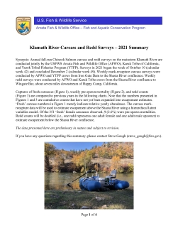 Klamath River Spawning Surveys Summary 2021