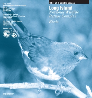 LINWRC_Bird_Brochure.pdf