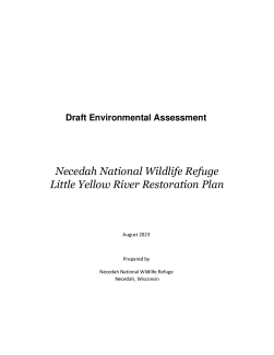 DRAFT Environmental Assessment for Restoring the Little Yellow River