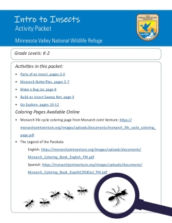 Intro to Insects Distance Learning Packet (grades K-2)