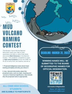 MTMNM Volcano Naming CONTEST ENTRY FORM