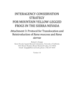 Mountain Yellow-legged Frog Conservation Strategy: Translocations (Attachment 3)