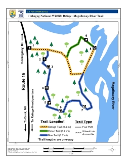 Magalloway River Trail Map.pdf