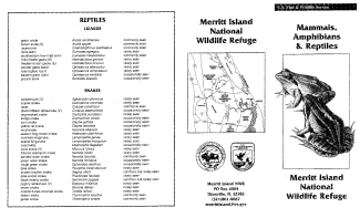 Mammals Amphibians Reptiles of Merritt Island NWR