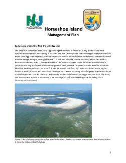 Horseshoe Island Management Plan April 2022