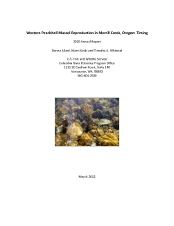 Western Pearlshell Mussel Reproduction in Merrill Creek, Oregon: Timing
