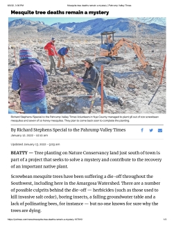 Mesquite tree deaths remain a mystery-Pahrump Valley Times 1-20-22_0