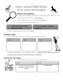 DESO Middle School VC Activity Guide ANSWER KEY 508.pdf