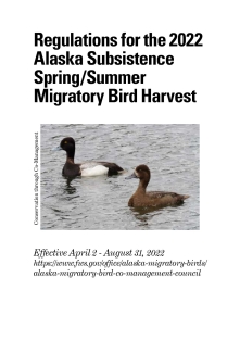 Regulations for the 2022 Spring/Summer Migratory Bird Harvest