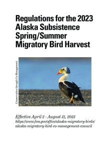 Regulations for the 2023 Alaska Subsistence Spring/Summer Migratory Bird Harvest