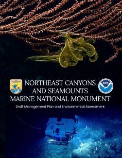 Northeast Canyons and Seamounts Marine National Monument Draft Management Plan and Environmental Assessment