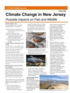 Climate Change in New Jersey: Possible Impacts on Fish and Wildlife