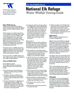 National Elk Refuge Winter Wildlife Viewing Guide English 2019