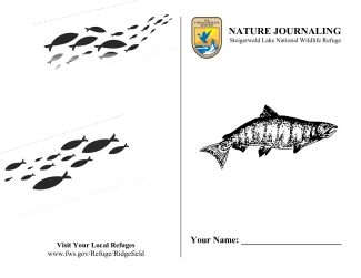 Nature Journaling - SLNWR.pdf