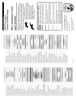 Nestucca Birding Checklist.pdf