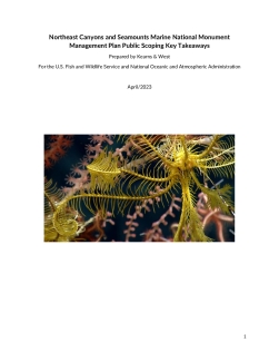 Public Scoping Key Takeaways Report - Northeast Canyons and Seamounts Marine National Monument 