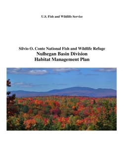 Nulhegan Basin Habitat Management Plan