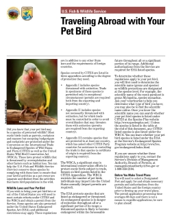 Personal Wildlife Shipments - Travel pet bird.pdf