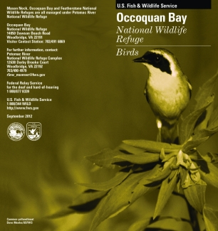 Occoquan Bay NWR Bird List