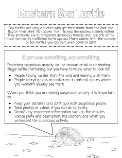 PARC Eastern Box Turtle Coloring Pages
