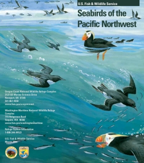 Pacific Northwest Seabirds Brochure