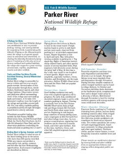 Parker River Bird List.pdf