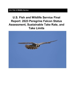 2023 Peregrine Falcon Status Assessment, Sustainable Take Rate, and Take Limits