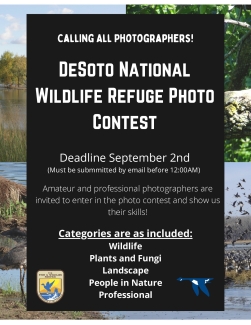 Photo Contest Flyer DeSoto.pdf