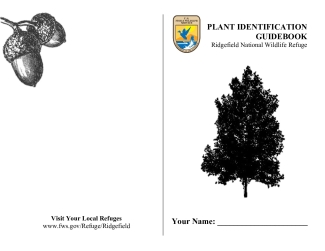 Plant Identification - RNWR.pdf