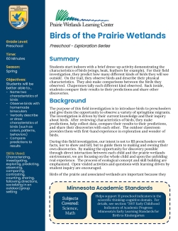 Preschool Spring Birds of the Prairie Wetlands
