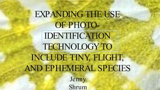 Protecting Endangered Species Winner Expanding the Use of Photo-Identification Technology by Jenny Shrum