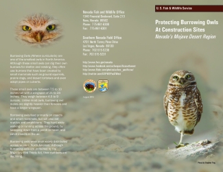 Fact Sheet: Protecting Burrowing Owls at Construction Sites